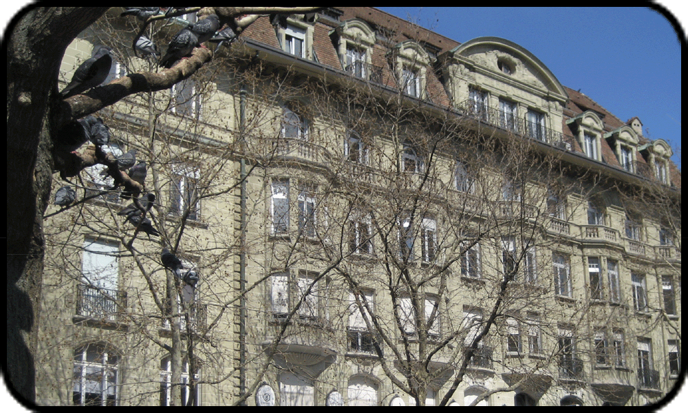 St_François_immeuble