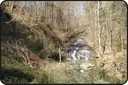 Cours naturel du Flon - Sauvabelin