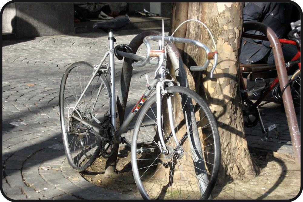 velodepart