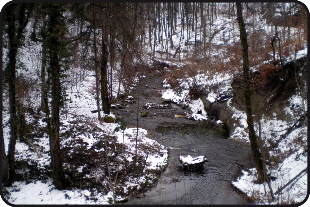 velbo02_02.gif