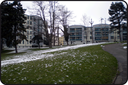velbo06_03.gif