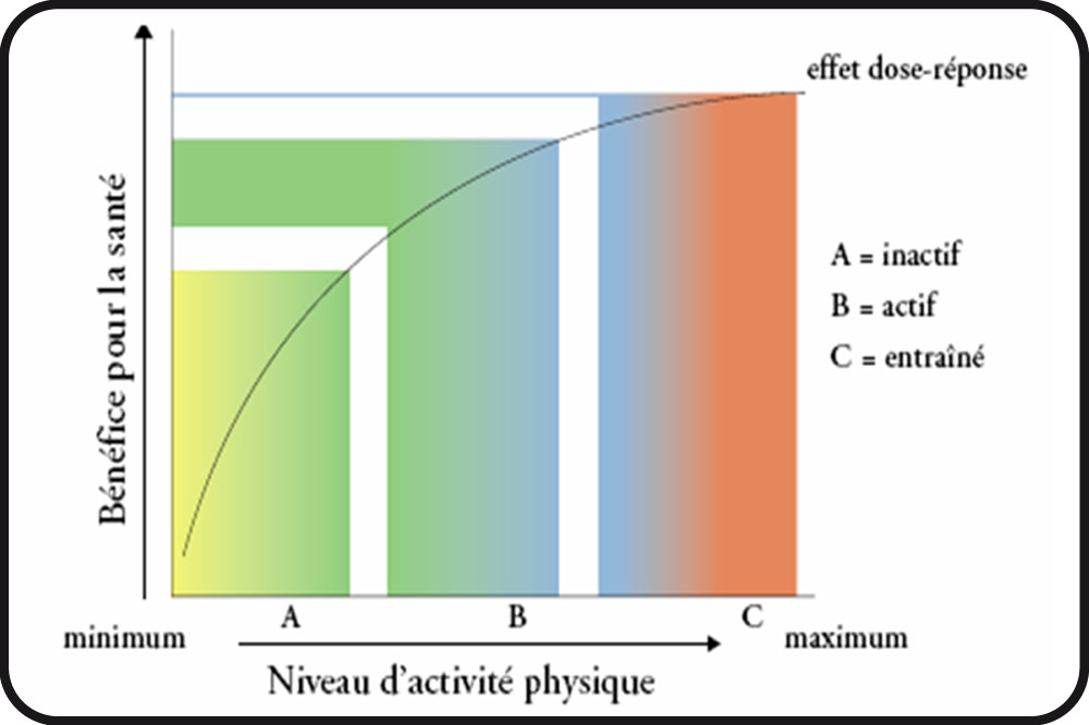 Niveau d'activité physique - graphique