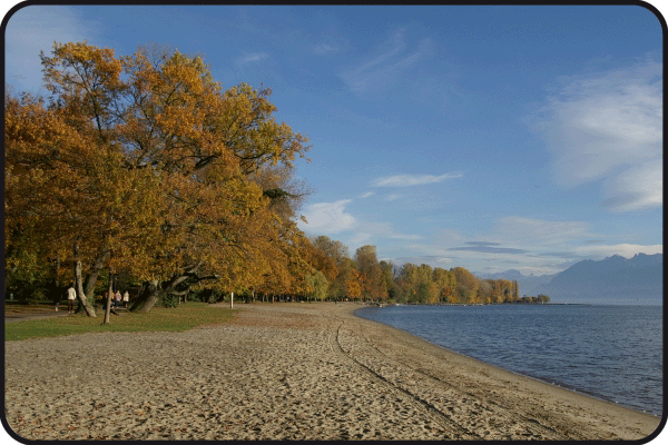 Plage Vidy