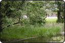 poste3etang1