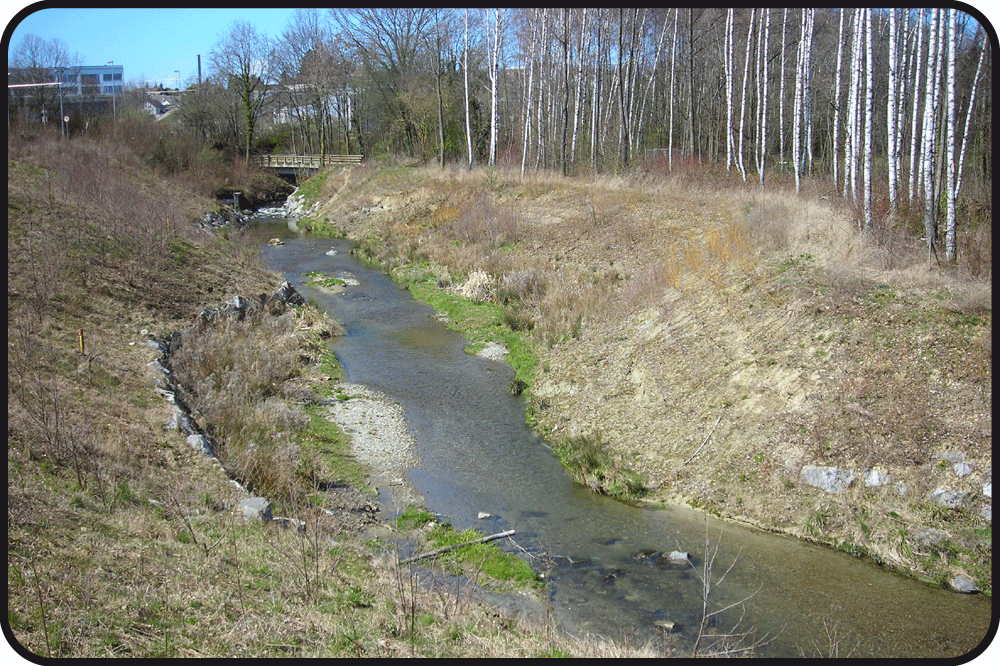 Ruisseau_allée