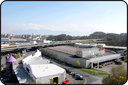 081_f-werren8.gif
