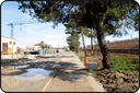 09_f-werren7.gif