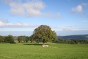 Paysage jurassien sur le sentier panoramique de Pleigne