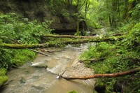 Paysage Vallon de la Roulavaz