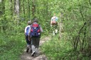 Sentier agro-sylvicole de l'Intyamon