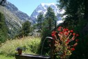 Balade à Arolla