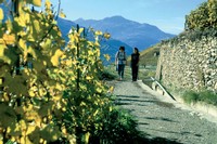 Bisse de Clavau