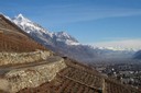 Chmin du vignoble Chavard Martigny