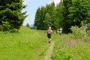 Sentier des bûcherons (Paccots)