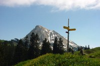 Sentier botanique de Moléson
