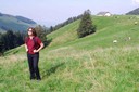 Sentier des fromageries (Moléson)