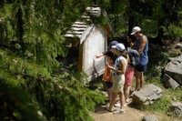Sentier des fourmis