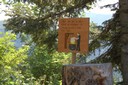 Sentier des fromageries d'alpage (Paccots)