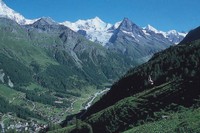 Zauzoura