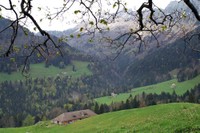 Environs du chalet