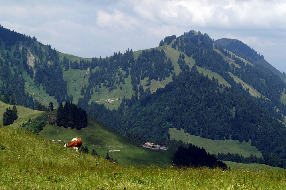 Environs du chalet du Vuipay