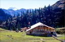 Chalet d'Oberstockenalp et ses environs