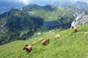 Vue sur le chalet Oberstockenalp