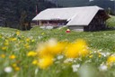 Chalet Oerstockenalp