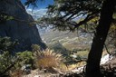 1000 mètres plus bas... la plaine du Rhône