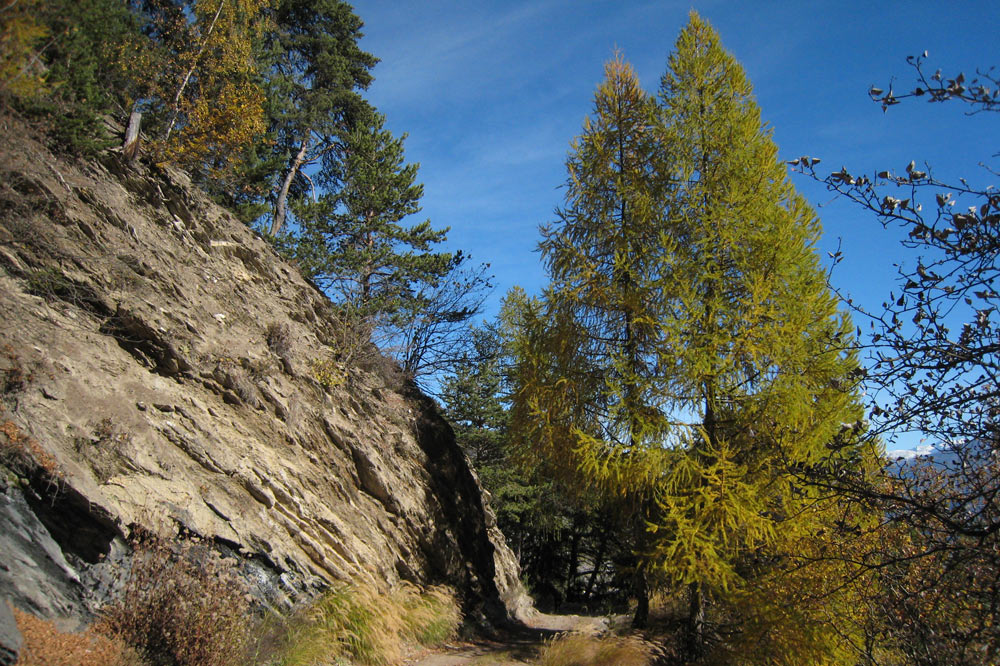 En descendant de l'Ardève