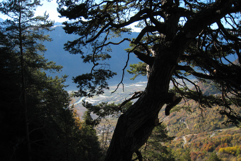 Vue sur la plaine sur le chemin de l'Ardeve