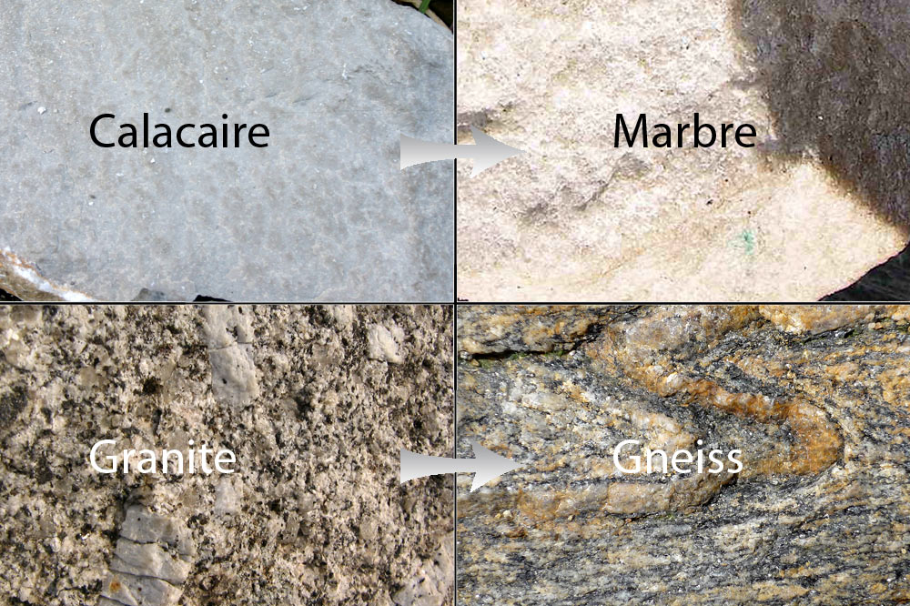 Exemple de métamorphismes