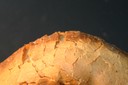 En se pliant la roche se fracture, telle une baguette de pain