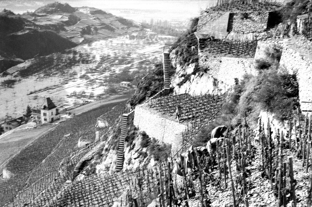 Les coteaux de Sierre les mieux exposés ont été progressivement recouverts de vigne