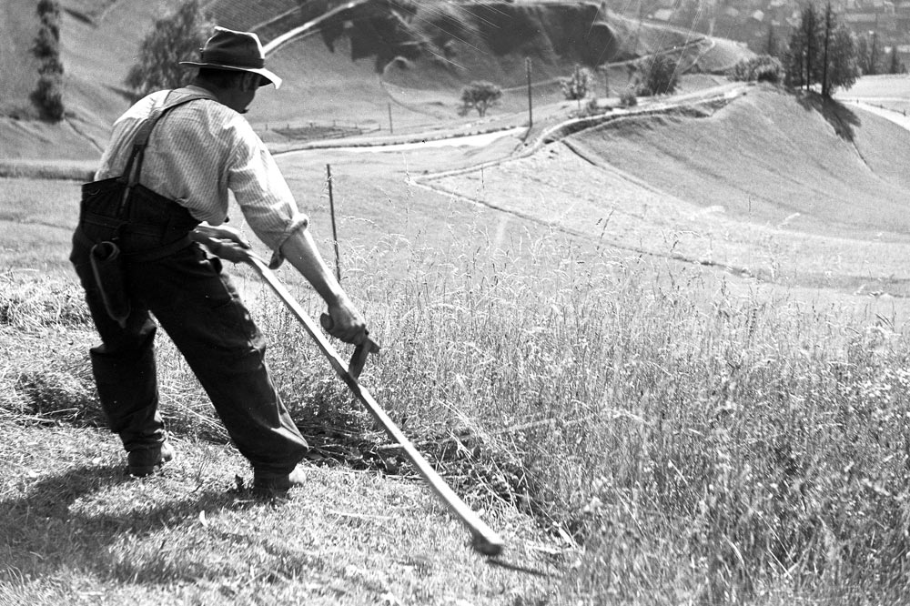 Il faut attendre le mois de juin pour que l’herbe soit mature autour des villages et puisse être fauchée