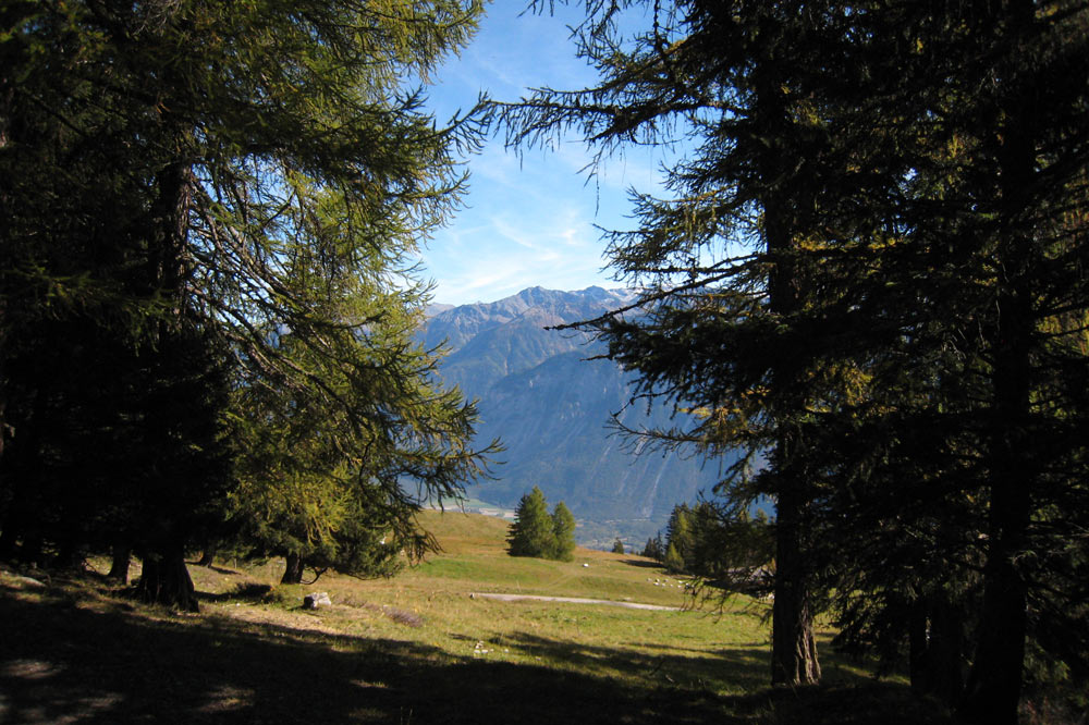 Alpage près de Colombire