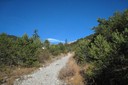 Chemin entre Miège et Cordona