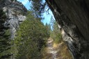 Sentier remontant le vallon de la Tièche