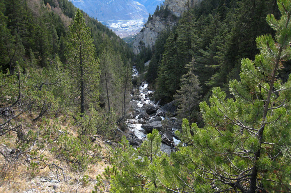 Vallon de la Tièche