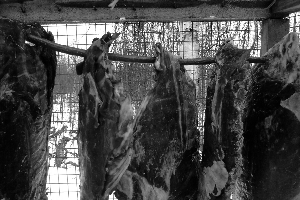 Une fois salée, la viande est mise à sécher à l’air libre 