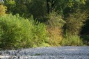 Plage sur la Neirigue
