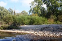 Plage le long d'une rivière