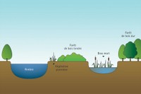 Schéma d'une zone alluviale