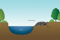 Schéma de la revitalisation des berges de la Neirigue