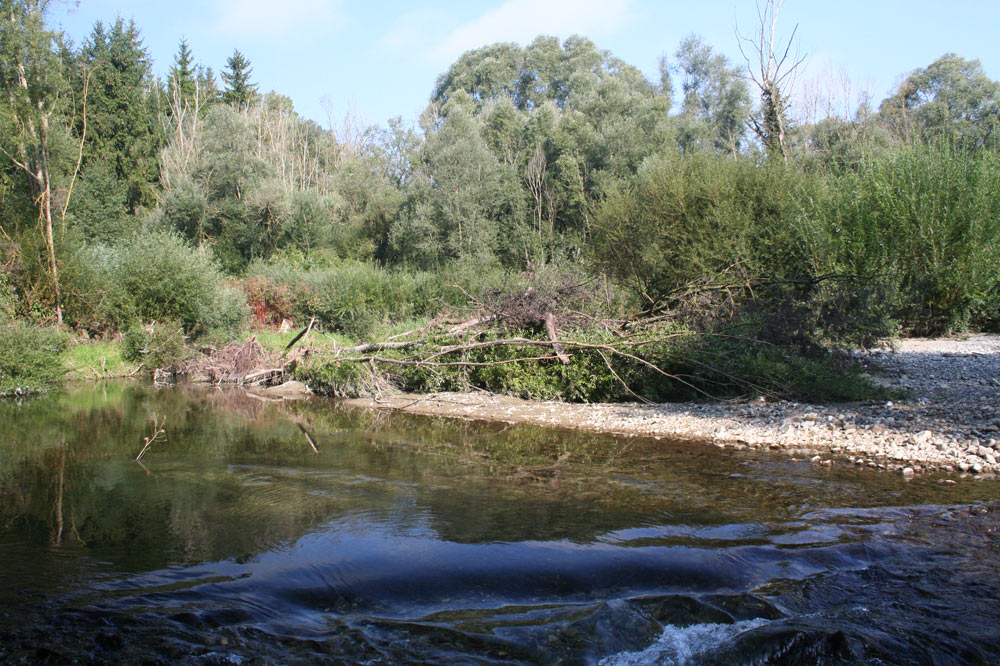 Zone alluviale d'Autigny