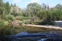 Zone alluviale d'Autigny