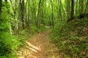 Ancien chemin muletier