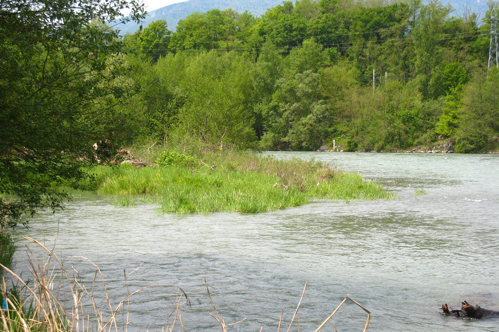 Ile du Rhône