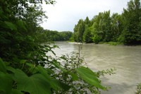 Rives de l'Arve