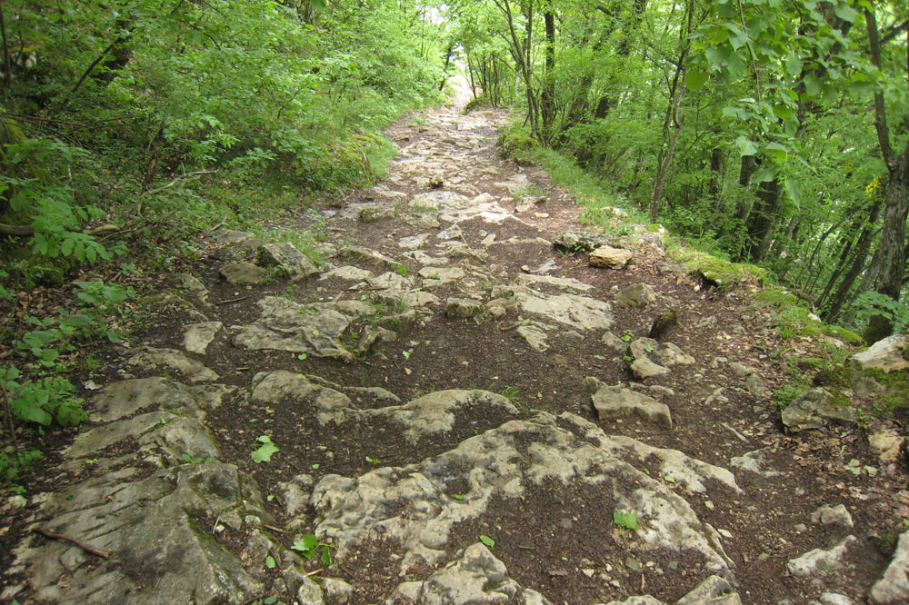 Descente depuis le Salève